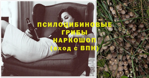 бошки Белокуриха