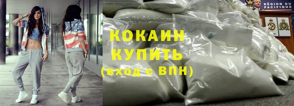 бошки Белокуриха