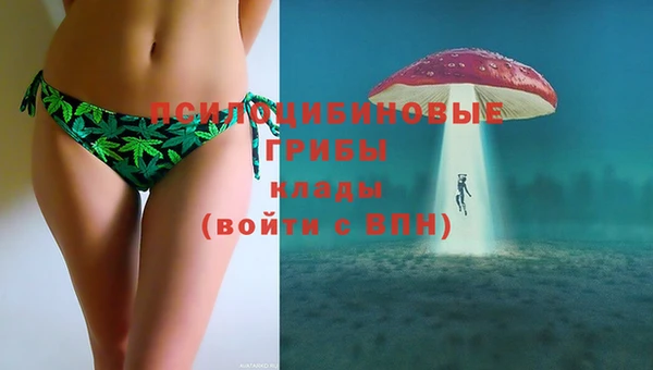 бошки Белокуриха