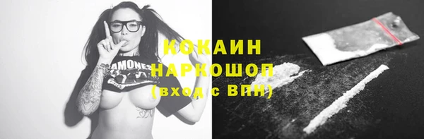 бошки Белокуриха
