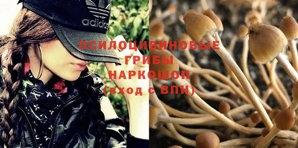 бошки Белокуриха
