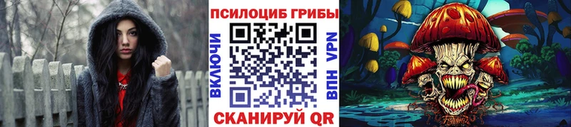 Купить где  Шумерля  Галлюциногенные грибы Psilocybe 